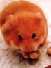 hamster